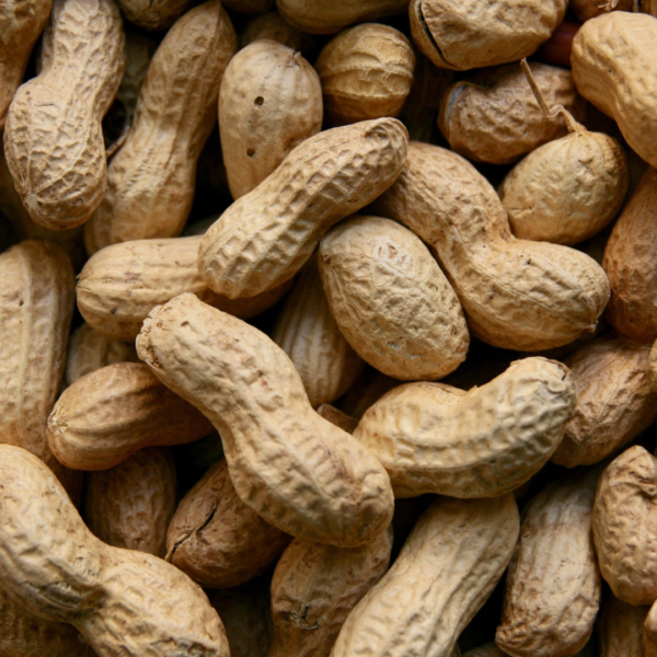 Peanut Crunch